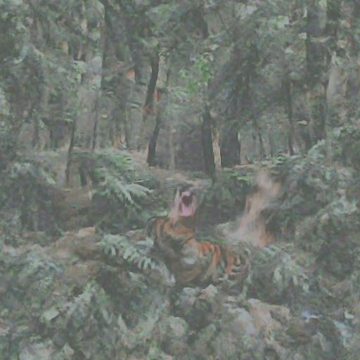 Rendering of Tiger Roar in 10th Image