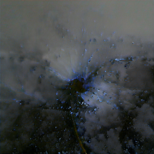 Thunderstorm_from_sky1